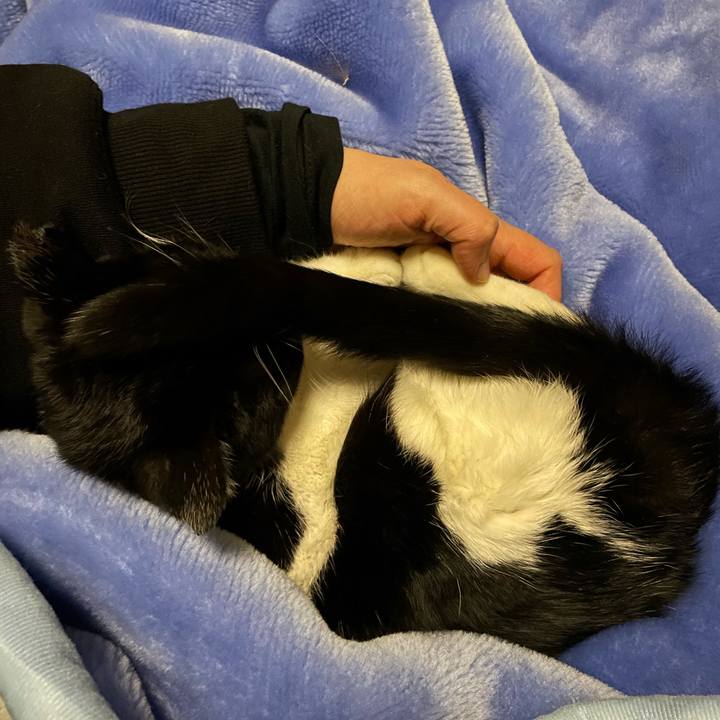 208c8b1b 8038 40ce 97ba 7124f768c447 1676897981342