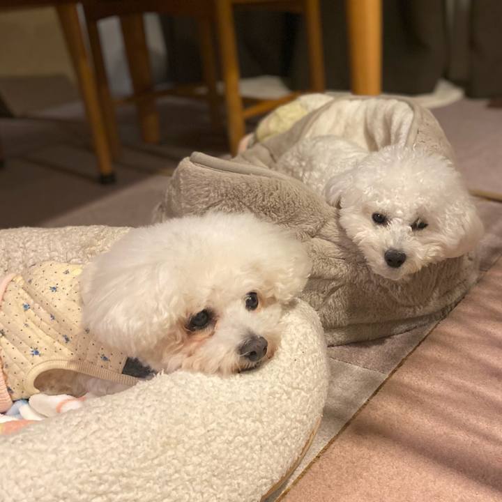 208c9b92 3bab 4ae5 9f56 db2ae20c6b90 1764581369483