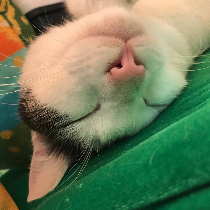 208cadbb ec79 4038 8390 7676abc523fb 1536798512305