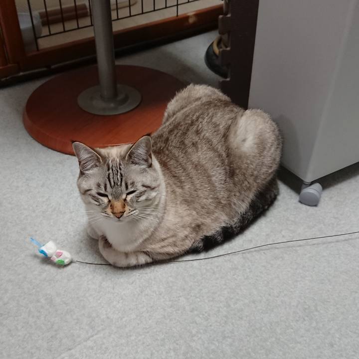 208cb93f c2fa 45a4 a6d9 b489a6a3431b 1542639043358