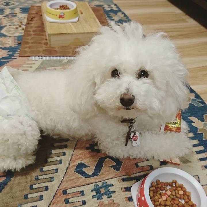 208cd6b4 8011 45e5 b4b0 0939ea4ad754 1528880626383