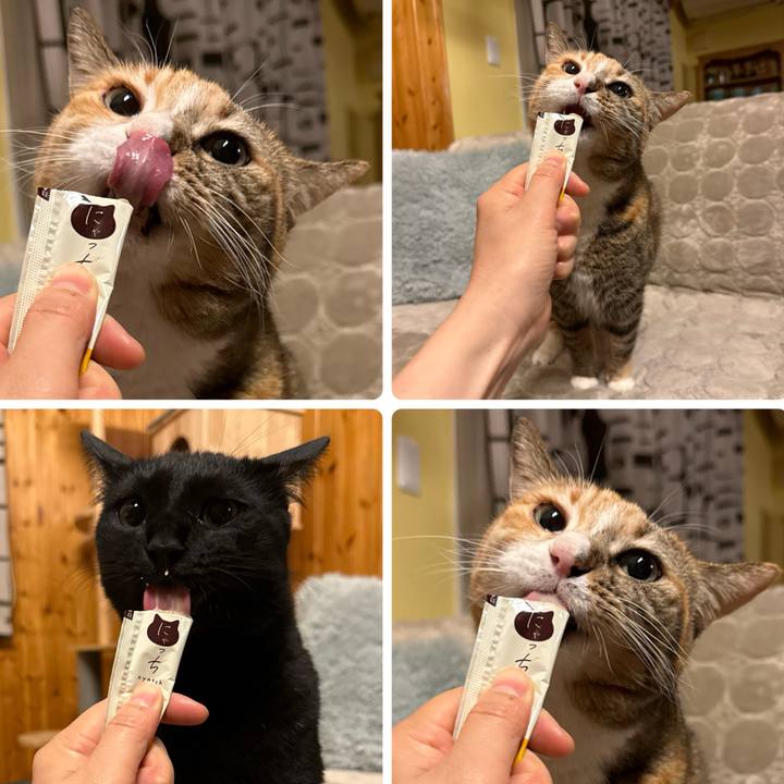 208cddb2 3c17 423d b0f5 6d754bf429c3 1773400419857