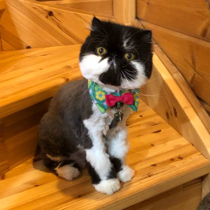 208d06ff 46c9 4da0 95cb da3834313017 1716120697496