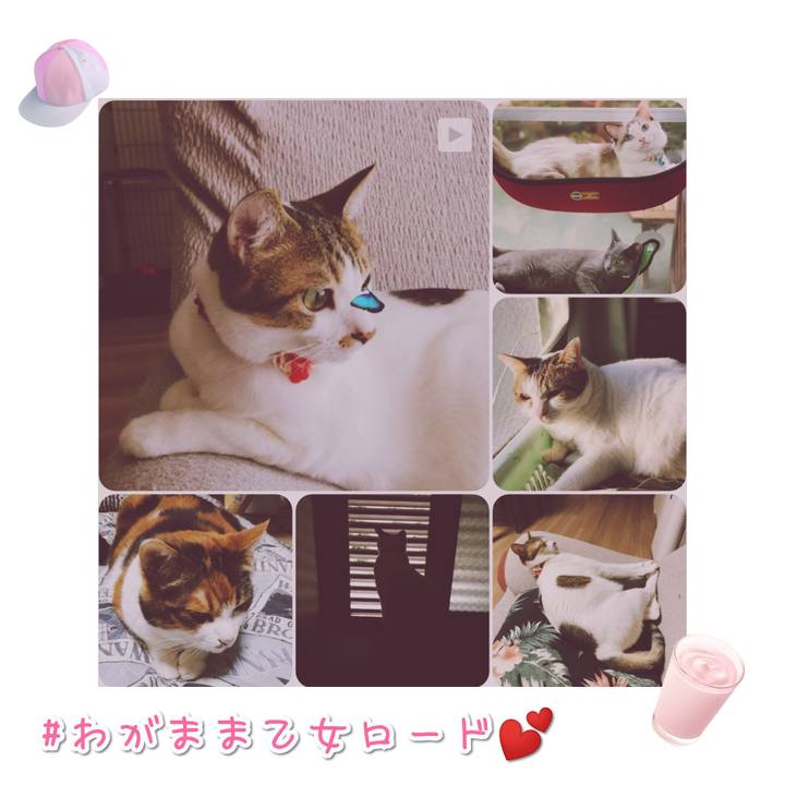 208d6280 0f99 4e70 9d49 e3f64d59ffb9 1568278548915