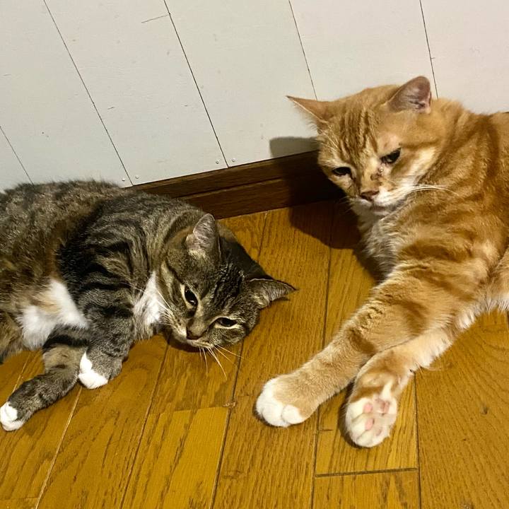 208dd8ba 7fd7 4dac 80e6 9e6f627ee60e 1660659180041