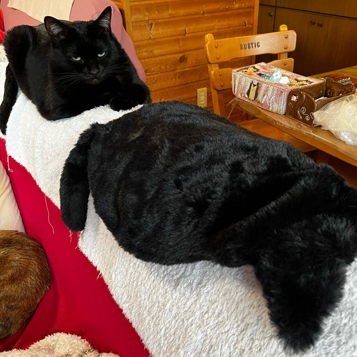 208e53fd 6d44 43d3 ae3e 45ca3cfc4337 1732486917051