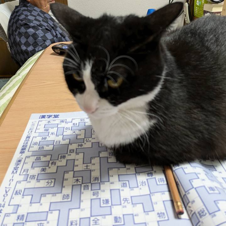 208e677f 738e 4f36 ac09 ad8db1b62217 1732171802983