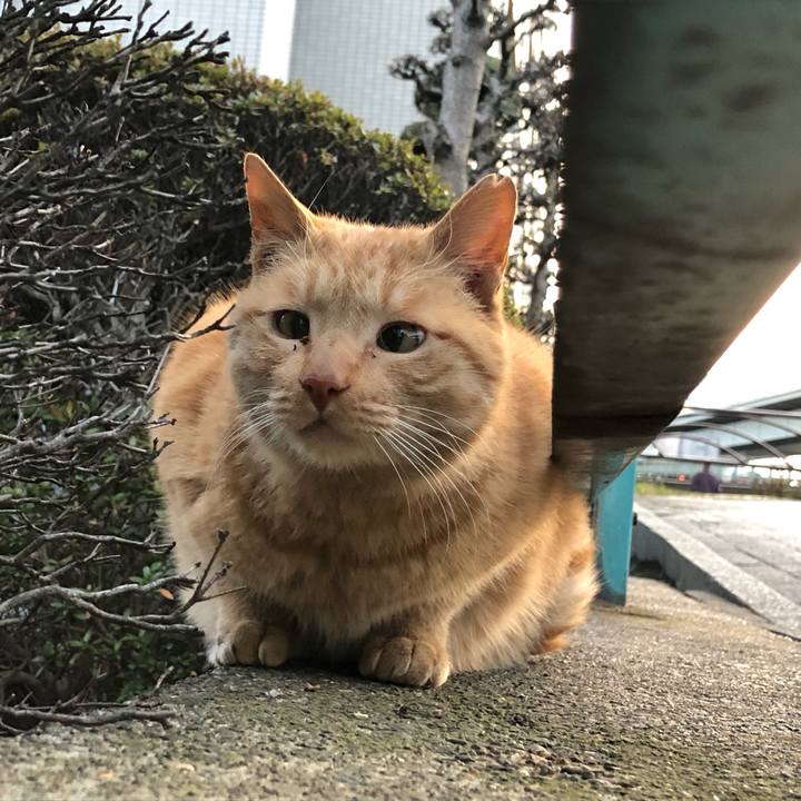 208e71b9 6880 4546 9d8b c129ab9ab4ee 1550221130678