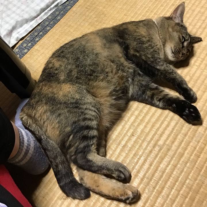 208eacb8 9acd 42de 95c5 d7b6adb071fe 1726301801477