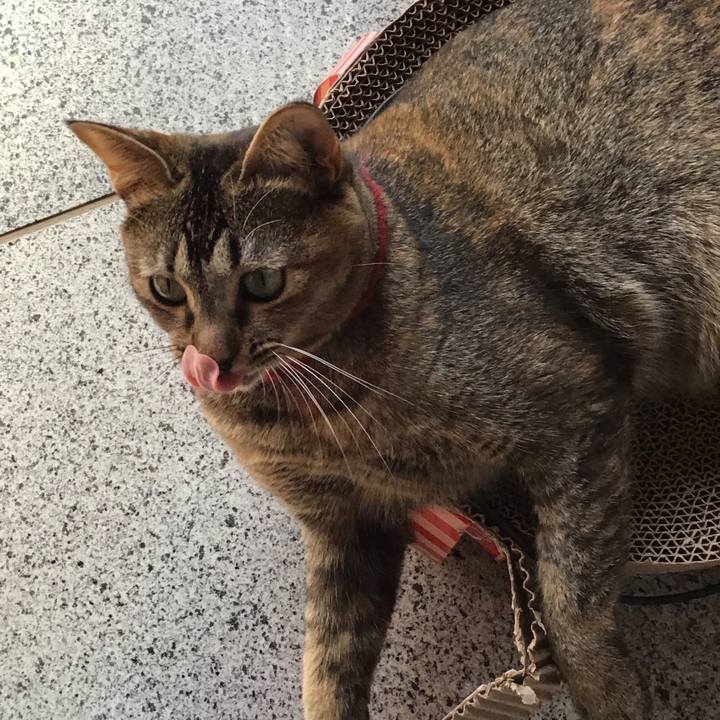 208f21eb ba22 46b6 b241 fb74cdeaa1f7 1603530597439