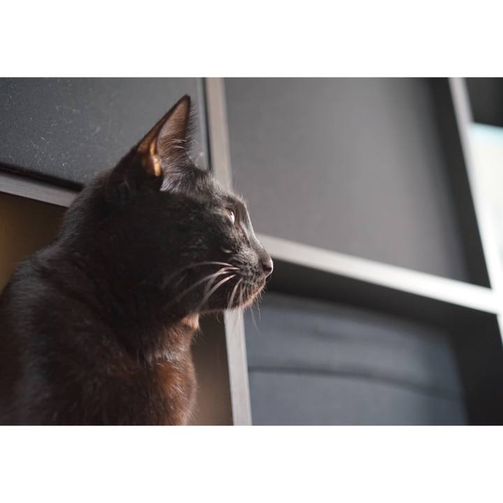 208f4cb4 6423 41de be47 c1e12378f1fc 1551743333323