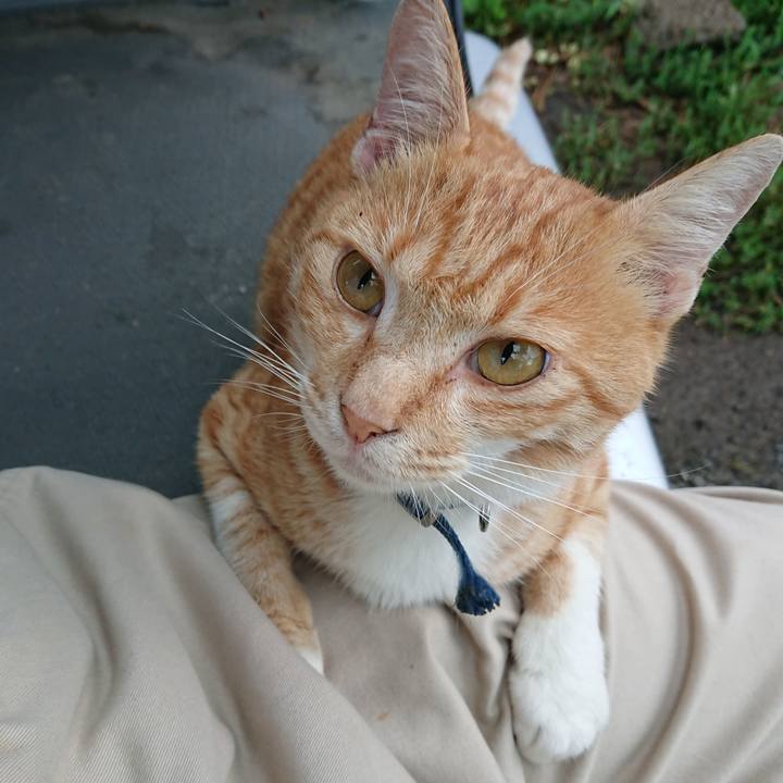 208f514f c8bd 40bd a385 e49be8a54b30 1564000913870