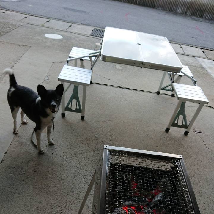 208f6488 0c65 4319 8144 c31de780db40 1534064658934