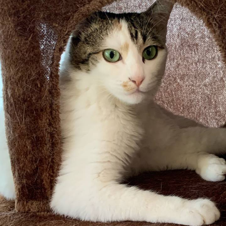 208f6d6c 6c70 4a4b ba45 d1affae2afb8 1654673706140