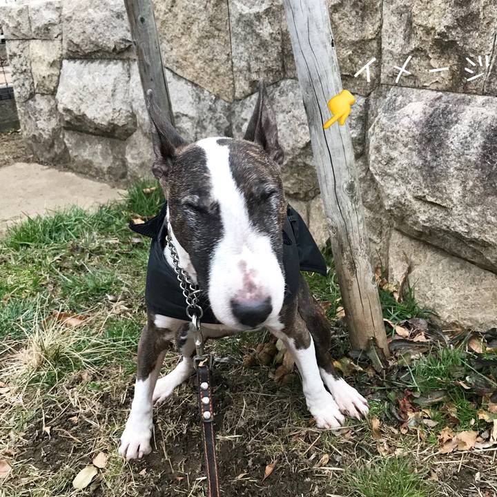 208f988f 30b9 48c8 9e8c 743fa3c0dfdc 1518775524462