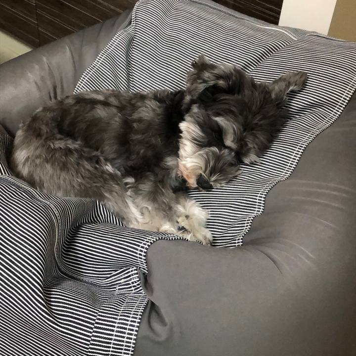 208fc0f1 927c 4378 975e 4f44fa5e180f 1549877081456