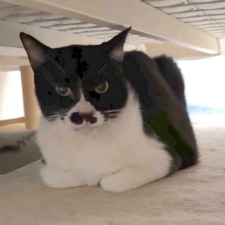 208fdcd5 dc23 417b 92fc 235a0b305340 1727181227018