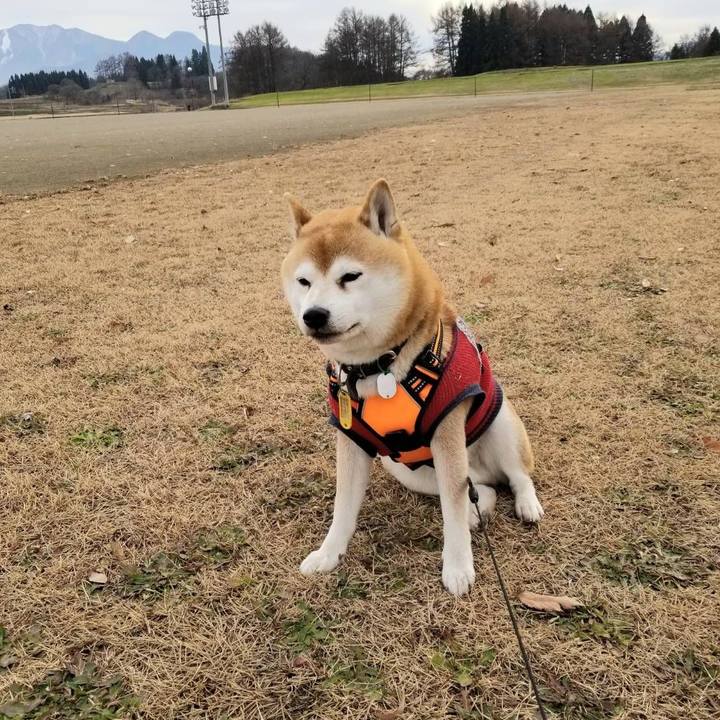 208ffc72 2259 497c b232 590ea998dec0 1607660411787