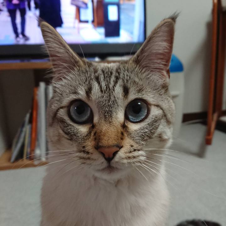 208ffe6a 1bf6 44ed 856f 07db3082365b 1522149404790