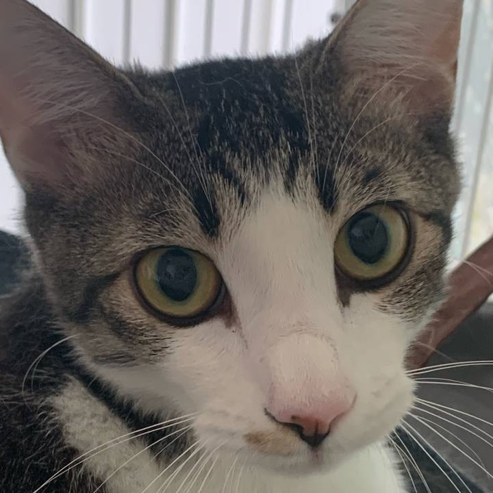 20903383 b8dd 4cde aff3 ce4bb557e940 1689379919006