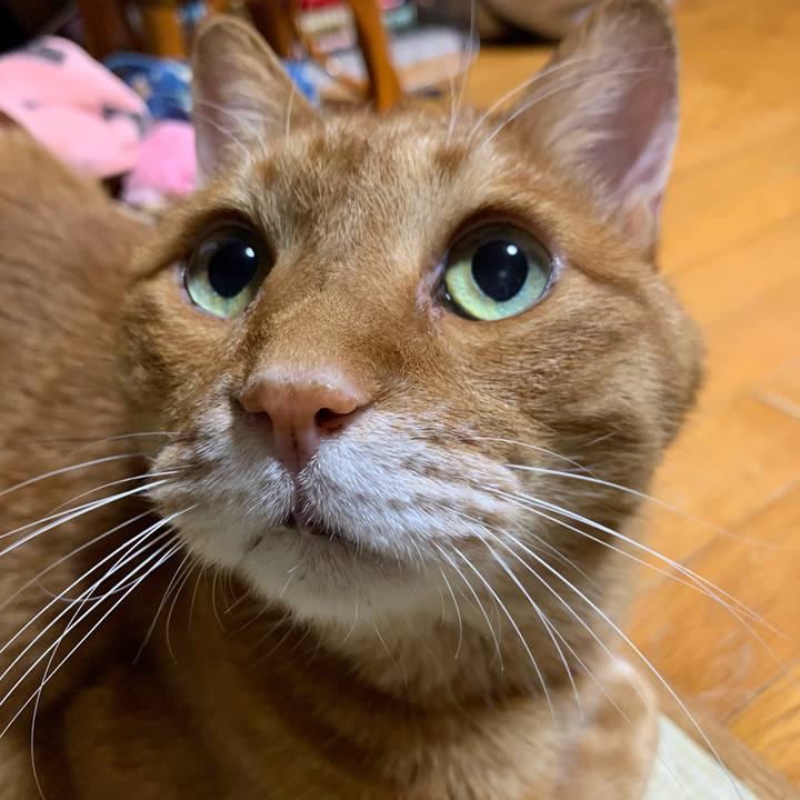 20903792 7667 4829 b09d 92b0b7df508a 1677328802973