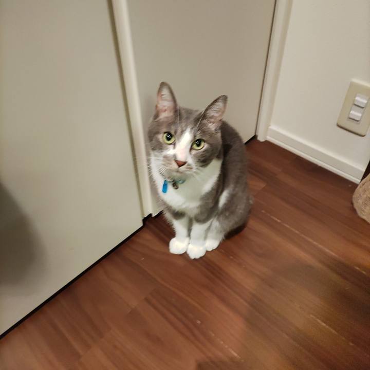 20904332 e906 475f bc3c eee1ed801adc 1665576126934