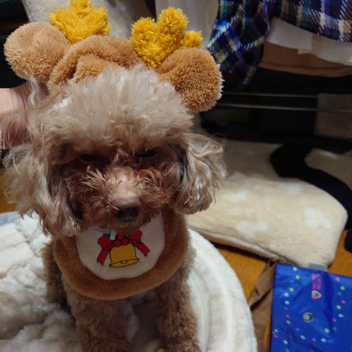 20904356 9204 44a9 aa7c f6ae54d05369 1733669733378