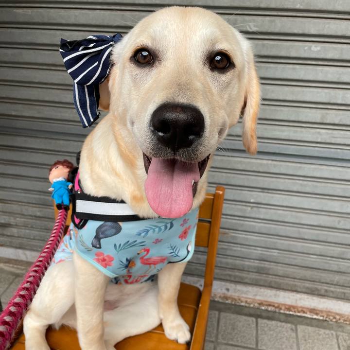 209053d2 dfd4 4d99 bbea f88e1dec5ff8 1623037275627