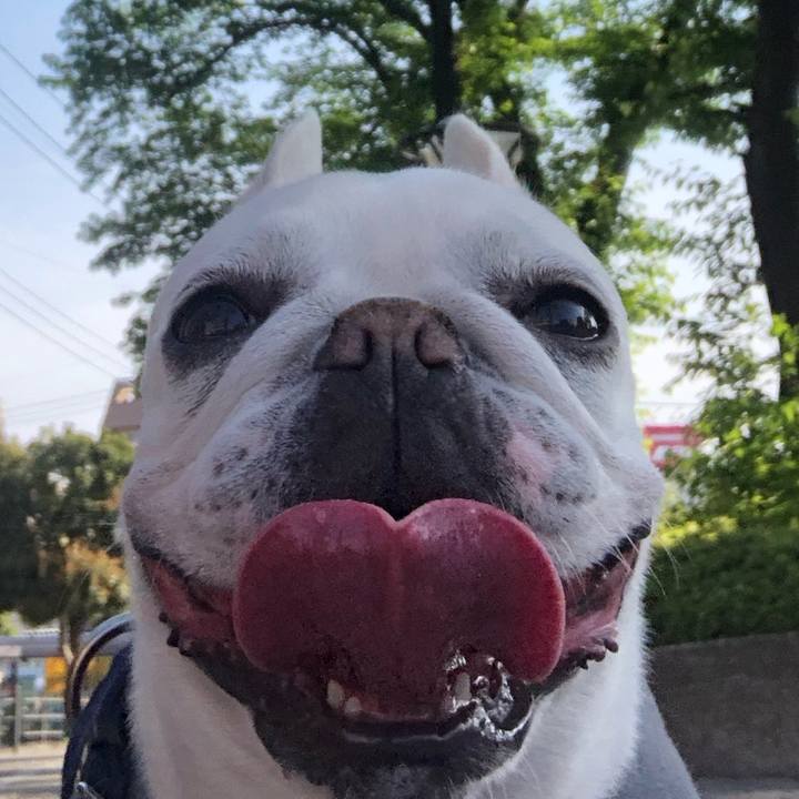 20905a34 1d5e 4d89 a490 85e4d81e9762 1619868865617