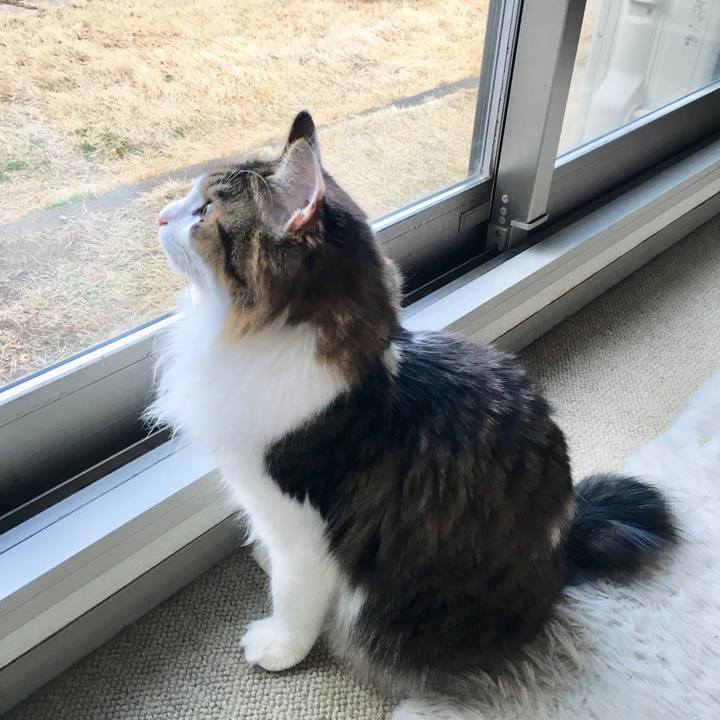 20905fe9 f50e 40f8 a6ca 88ead1ba4e2c 1523253313540