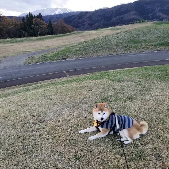 20907f9a 0871 4b4f bcf8 b6ecfd49cc4b 1637730379681