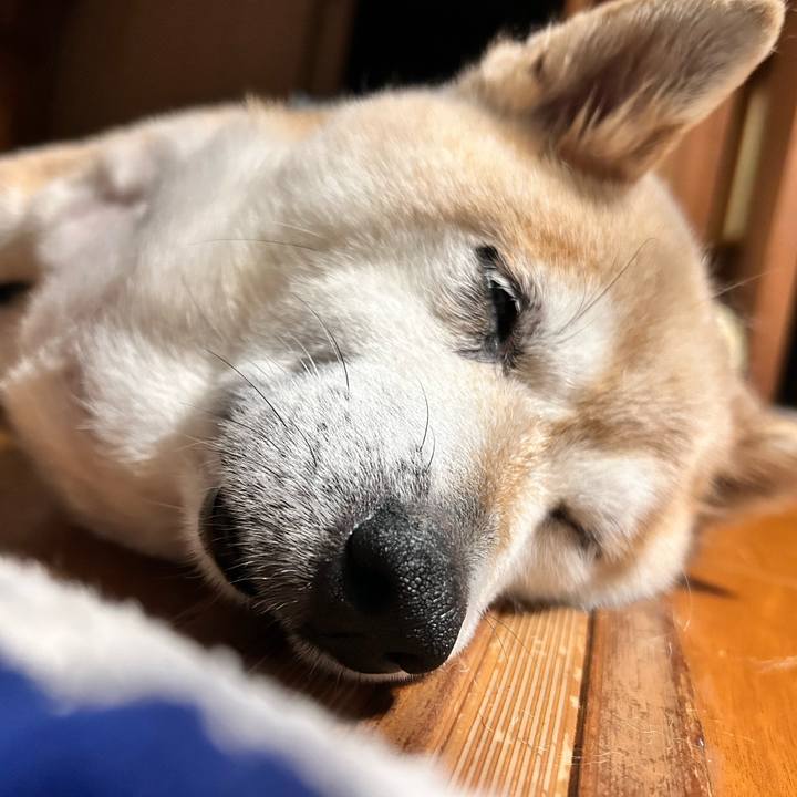 2090b351 fc2b 456a b242 eb4693e7ebea 1751450847748