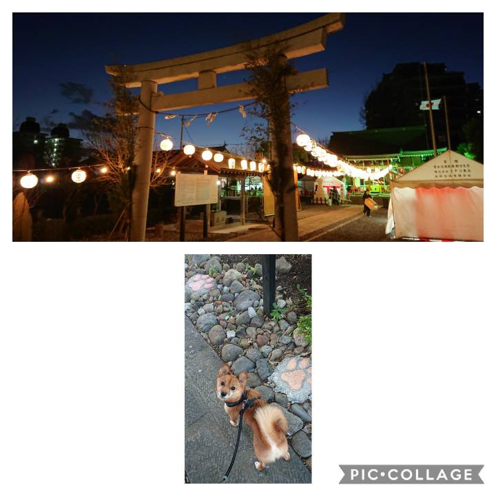 2090f49e 2e9b 491e abb3 d7e9570a05bd 1577783018322