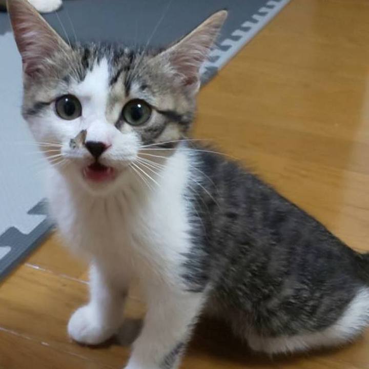 20911dec a61b 4435 9297 f83d59986562 1606616420695