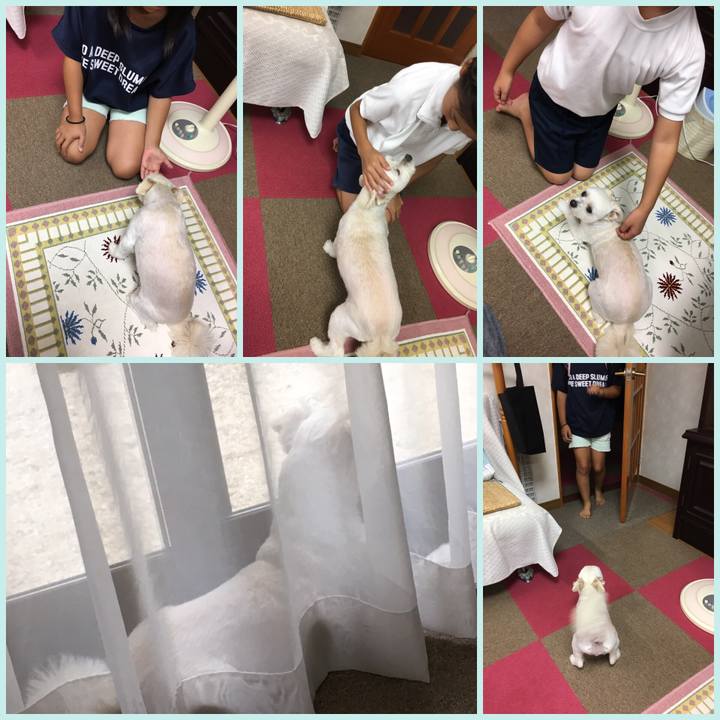 20912e01 8e39 4bb5 a981 fb6702bd79ac 1563452286277