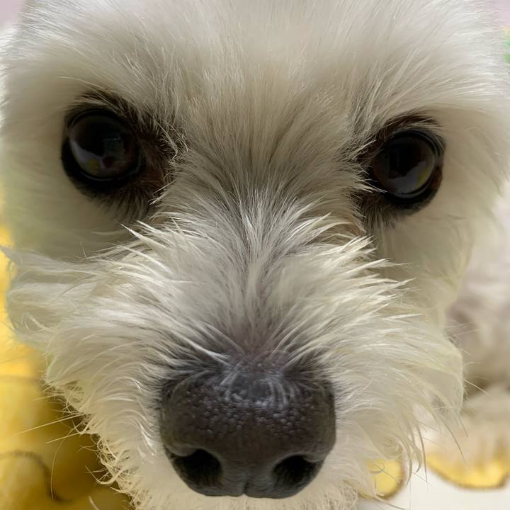 2091455d 34ff 497d ac8e ea00eef552cd 1589631033606