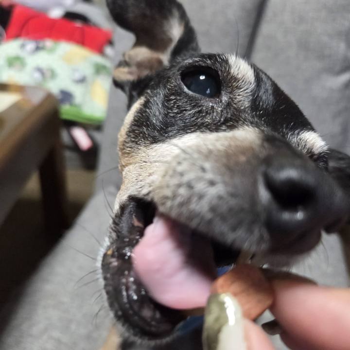 20914906 115f 4ade a2da 762353134329 1756687159771