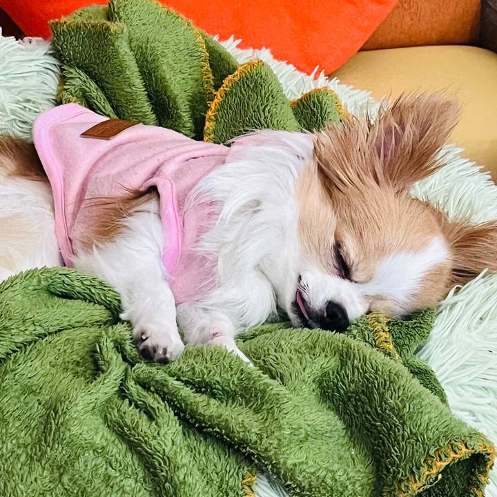 2091589f 6f0d 4cc7 837a e8a1caddcbbb 1760883980140