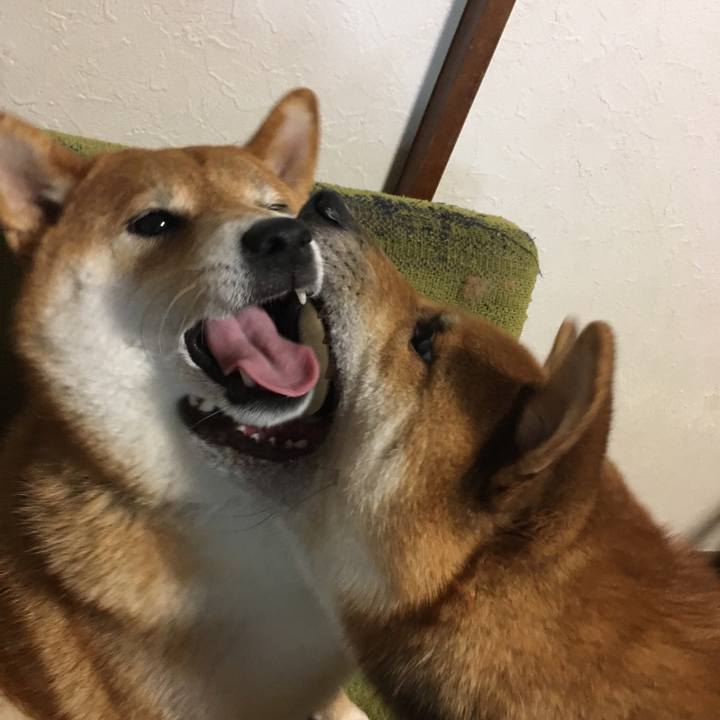 209162b0 d690 46ef 8fe3 ba746c77d20f 1565761474318