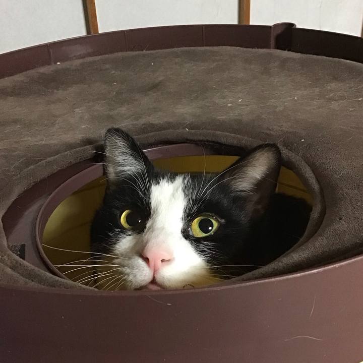 20916fbf 175b 409f 932c 957ba8893311 1674815726015