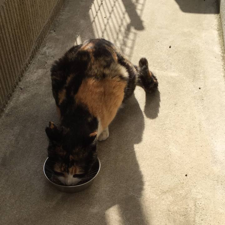 20917487 324c 4331 873e 6ca971c2c68a 1519952409279