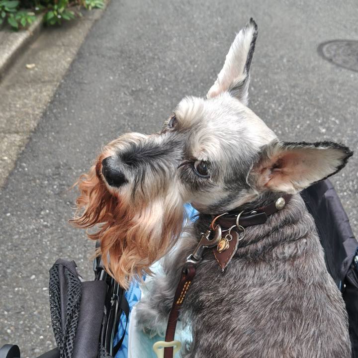 20919b1d 8021 40ad b1fe eb02b7f1f3ab 1759243420079