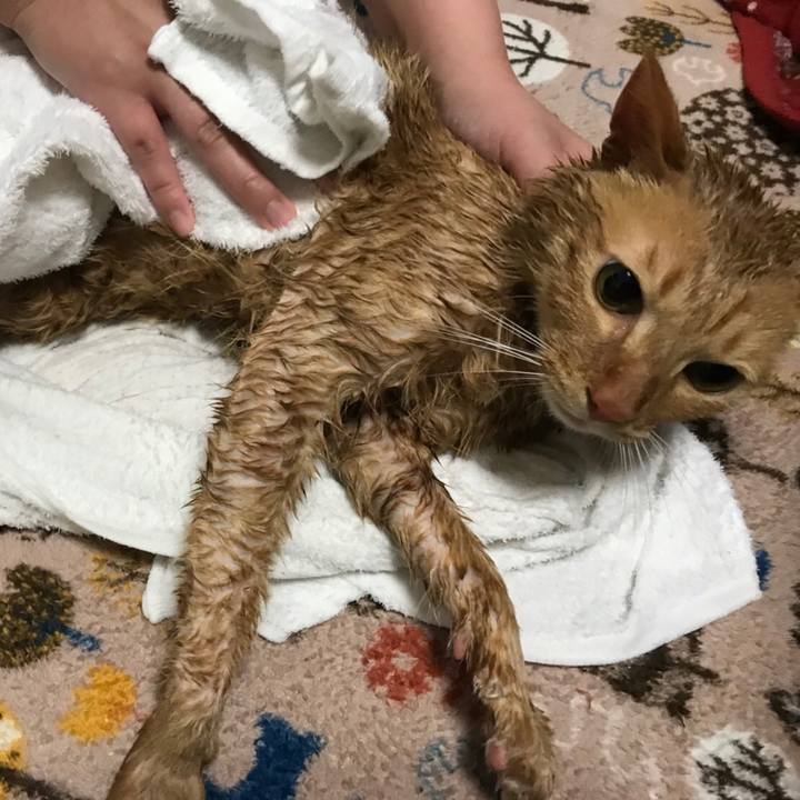 20919e9e 222d 4754 8aee 2558c7ef650d 1522979160525