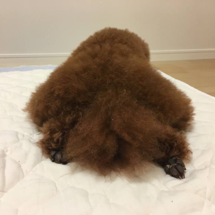 2091b4ef d3c2 48b9 9035 ab6cf5ef6082 1530663048682