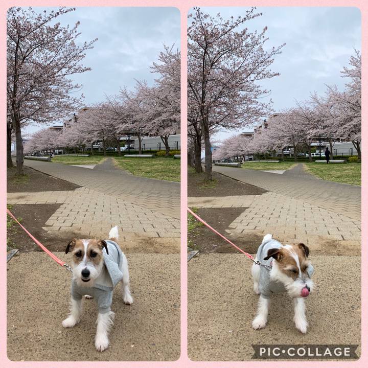 2091bf2d 0102 4db6 bdde 6937d0ccd705 1585561014839