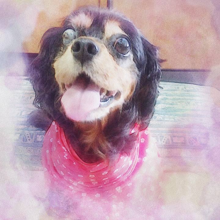 2091e863 76da 4e2f b817 7b3175b8d728 1508819377999