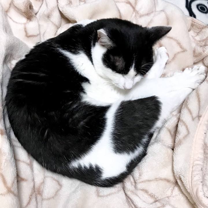 2091ee20 4a7f 4c0c 88d8 6643b3e014bb 1511657534179