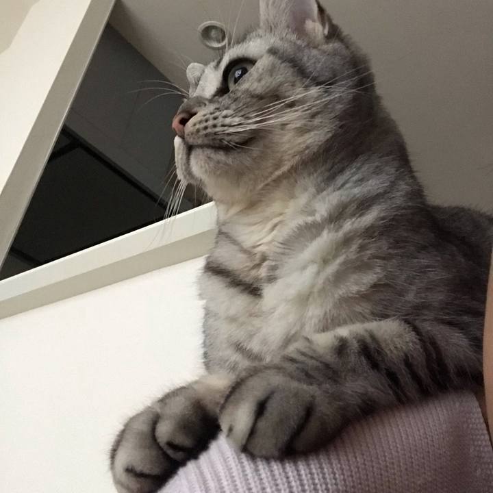 2092734e 9760 4855 a4b8 aa351d4a3205 1545351808329