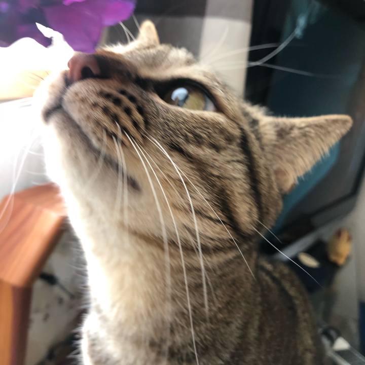 2092d521 e0a7 473c 894e 2df71d97265f 1581167739920