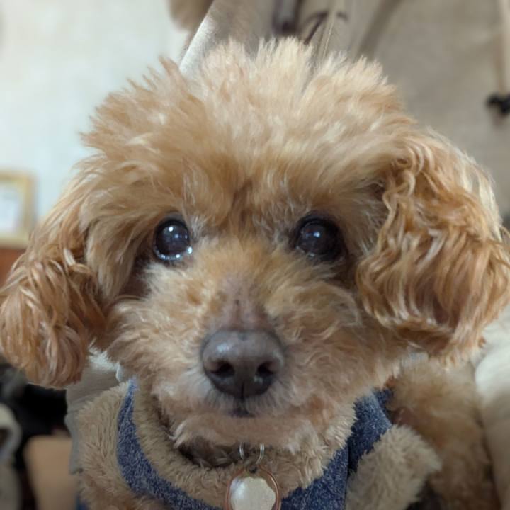 2092eaee 95a6 4115 9913 9309f56b6179 1769741853415